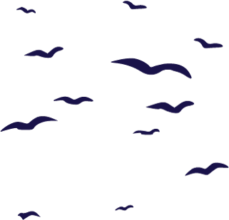 circles